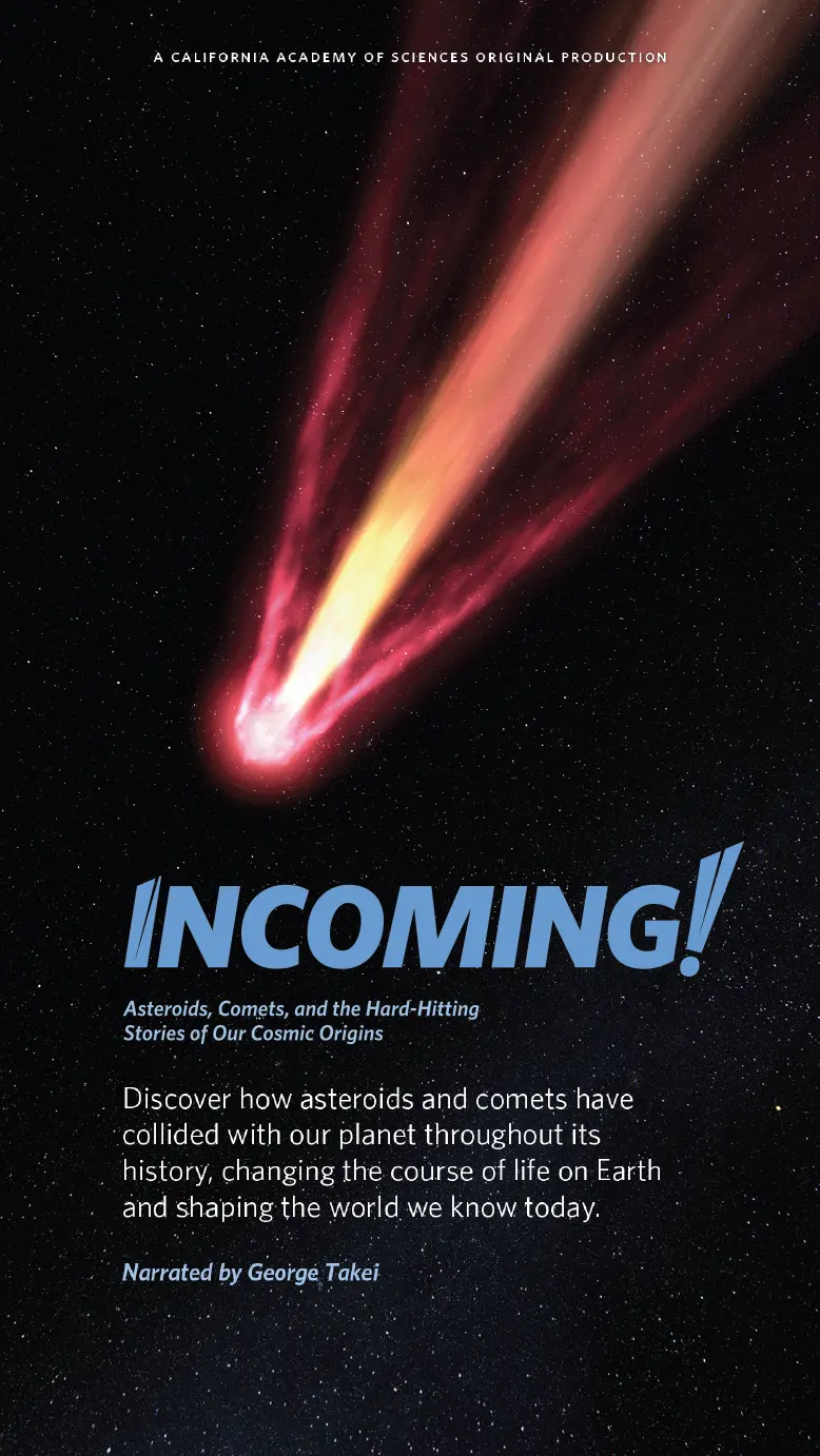incoming